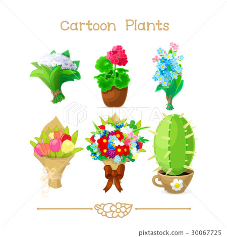 Closeup colorful flower bouquets bow, house flower 30067725