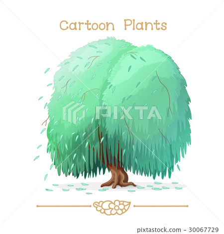 Cartoon plants: weeping willow 30067729