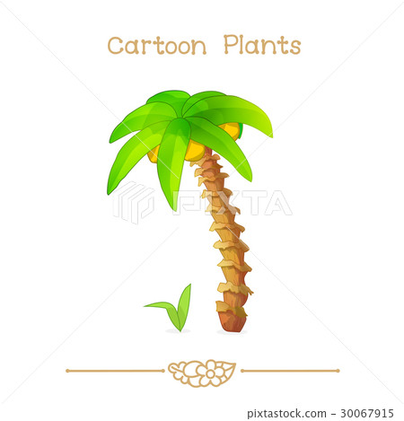 Cartoon Plants. Coconut palm. Cartoon Plants. Coconut palm. 30067915