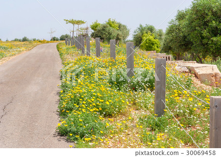 Ariel Sharon park , Israel Ariel Sharon park , Israel 30069458