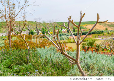 Ariel Sharon park , Israel Ariel Sharon park , Israel 30069459