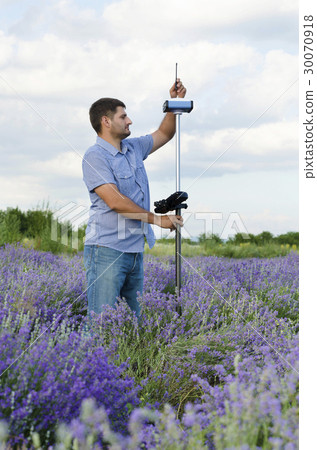 Land surveyor tracing in a lavenerd field 30070918