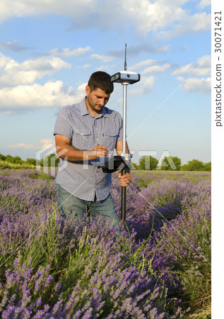 Tracing in a lavender field 30071421