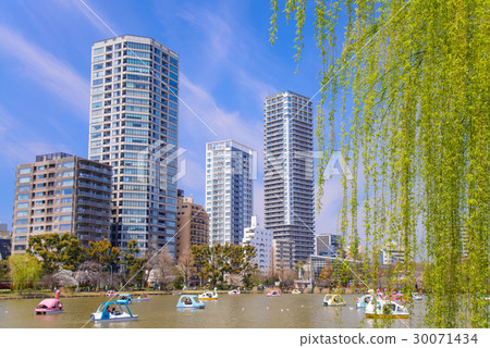 Ueno Onsen Park, people who boat play at the Shinobazu Pond 30071434