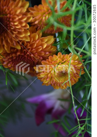 台灣,台南,府中街,永華宮,古蹟,景點,宗教,藝術,童玩,花,逛街,飾品,拜拜,道教,孔廟,休閒 30072685