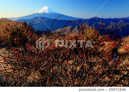 The fruit of Neibara in the Buddhist image of Namdaemun and Takamaru Takamaru and Mt. Fuji The fruit of Neibara in the Buddhist image of Namdaemun and Takamaru Takamaru and Mt. Fuji 30072846
