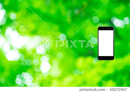 Hamikomi Sumaho Fresh green image background material background green background plant spring early summer sunbeams leaves green and copy space 30072967