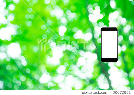 Hamikomi Sumaho Fresh green image background material background green background plant spring early summer sunbeams leaves green and copy space 30072991