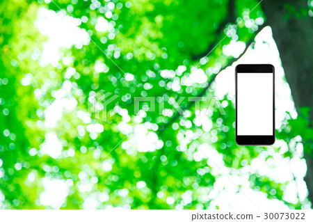 Hamikomi Sumaho新綠色圖像背景材料背景綠色背景植物春天初夏光束離開綠色並且複制空間 30073022