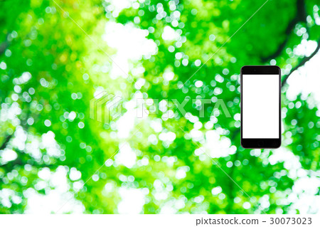 Hamikomi Sumaho新綠色圖像背景材料背景綠色背景植物春天初夏光束離開綠色並且複制空間 30073023