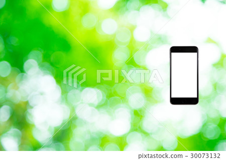 Hamikomi Sumaho Fresh green image background material background green background plant spring early summer sunbeams leaves green and copy space 30073132