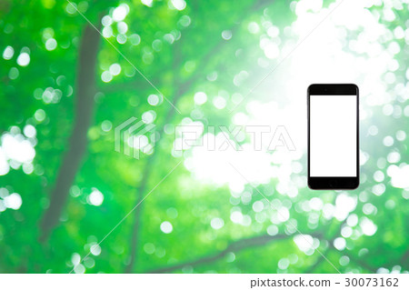 Hamikomi Sumaho Fresh green image background material background green background plant spring early summer sunbeams leaves green and copy space Hamikomi Sumaho Fresh green image background material background green background plant spring early summer sunbeams leaves green and copy space 30073162