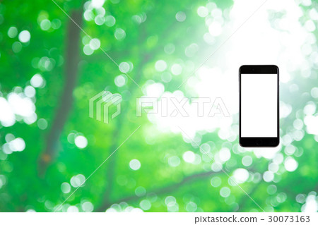 Hamikomi Sumaho Fresh green image background material background green background plant spring early summer sunbeams leaves green and copy space Hamikomi Sumaho Fresh green image background material background green background plant spring early summer sunbeams leaves green and copy space 30073163