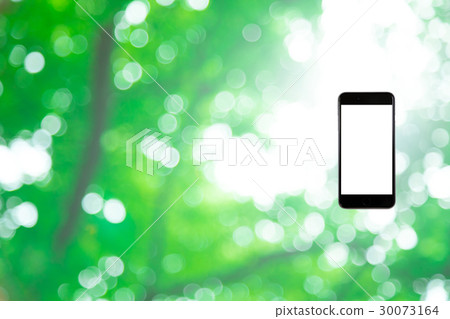 Hamikomi Sumaho Fresh green image background material background green background plant spring early summer sunbeams leaves green and copy space Hamikomi Sumaho Fresh green image background material background green background plant spring early summer sunbeams leaves green and copy space 30073164