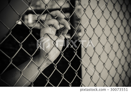 Hands and Steel Cage Hands and Steel Cage 30073551