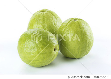 Big Guava isolated on white background 30073838
