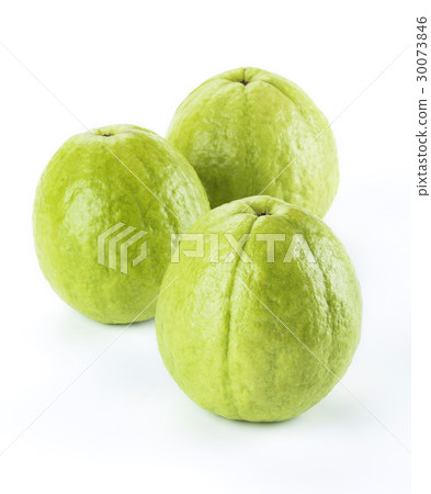 Big Guava isolated on white background 30073846