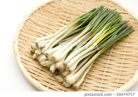 Island island (Okinawa Island Vegetable) Island island (Okinawa Island Vegetable) 30074757