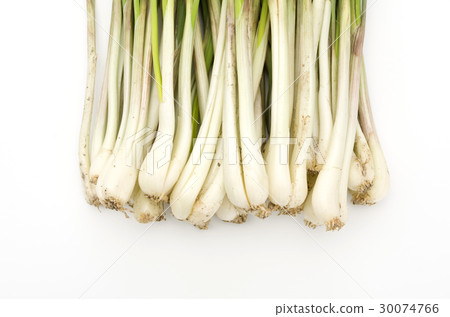 Island island (Okinawa Island Vegetable) 30074766