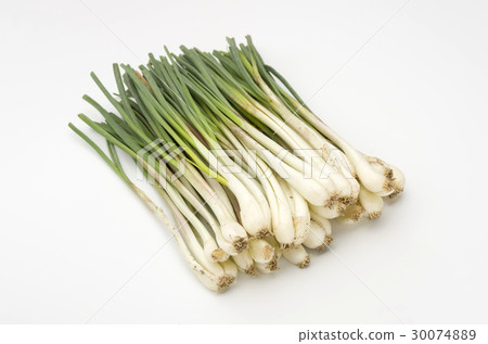 Island island (Okinawa Island Vegetable) 30074889