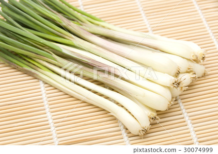 島島(沖繩島蔬菜) 島島(沖繩島蔬菜) 30074999