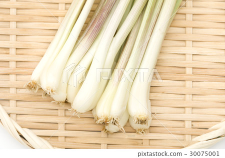 Island island (Okinawa Island Vegetable) 30075001