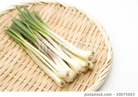 島島（沖繩島蔬菜） 30075003