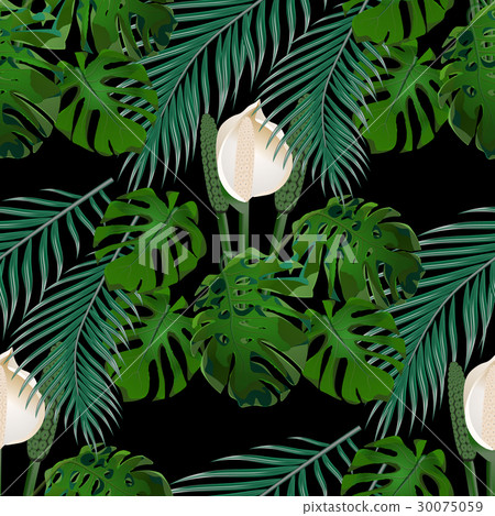 Jungle. Green tropical leaf, monster flowers and 30075059