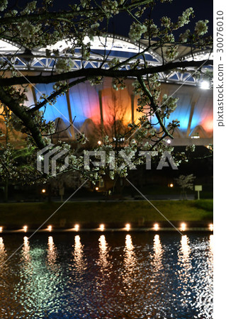 Big Swan night view (Niigata) 30076010