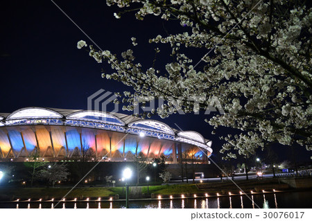 Big Swan night view (Niigata) Big Swan night view (Niigata) 30076017
