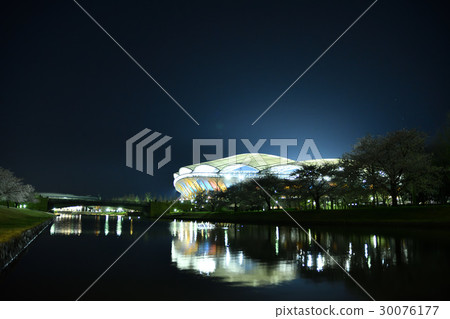 大天鵝在晚上（新潟市） 30076177