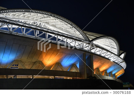 大天鵝在晚上(新潟市) 大天鵝在晚上(新潟市) 30076188