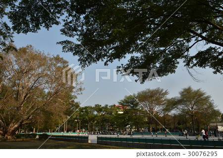 公園,綠葉,翠綠,陽光,傍晚,黃昏,休閒,下棋,溜冰,散步,蚯蚓,老人,老者,孤獨,逆光 公園,綠葉,翠綠,陽光,傍晚,黃昏,休閒,下棋,溜冰,散步,蚯蚓,老人,老者,孤獨,逆光 30076295