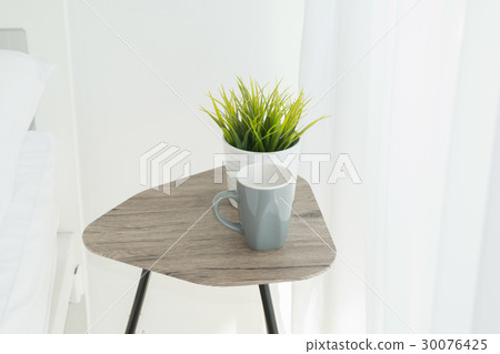 Simple  White room with potted plant green 30076425