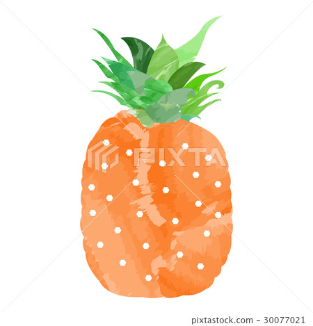 Isolated colored pineapple 30077021