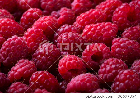 Ripe raspberry background 30077354