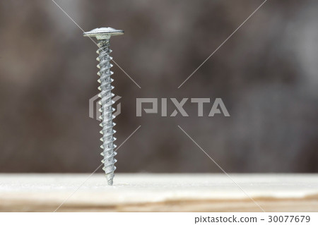 Screw screwed into wooden plank Screw screwed into wooden plank 30077679