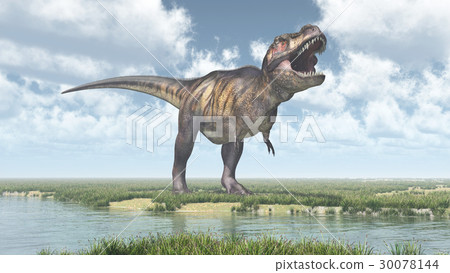 Tyrannosaurus Rex 30078144