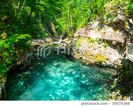 Pure blue water of Radovna river in Vintgar Gorge Pure blue water of Radovna river in Vintgar Gorge 30078366
