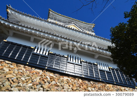 岐阜城堡（岐阜縣岐阜市）的城堡塔 30079089