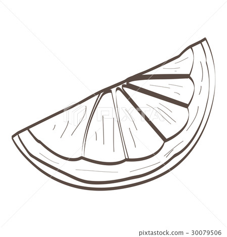 Isolated orange cut outline Isolated orange cut outline 30079506