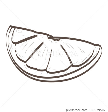 Isolated orange cut outline Isolated orange cut outline 30079507