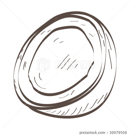 Isolated coconut cut outline Isolated coconut cut outline 30079508