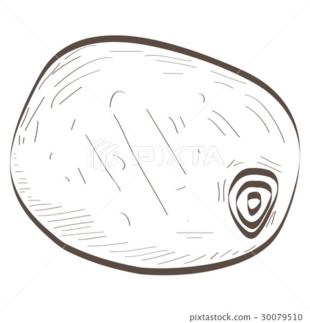 Isolated outline of a kiwi 30079510