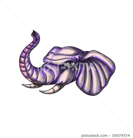 Elephant Head Trunk Tattoo Elephant Head Trunk Tattoo 30079554