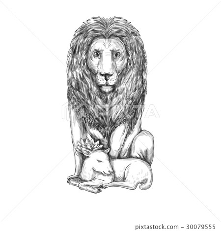 Lion Watching Over Lamb Tattoo Lion Watching Over Lamb Tattoo 30079555