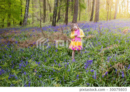Child with bluebell flowers in spring forest Child with bluebell flowers in spring forest 30079803