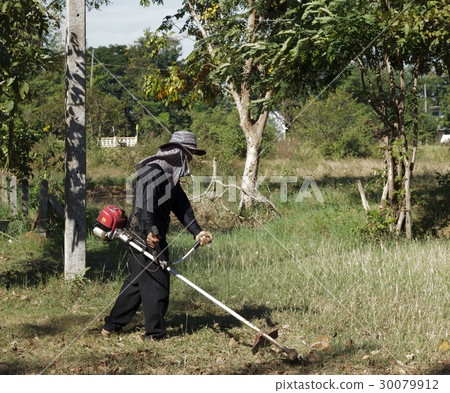 Worker cutting grass Worker cutting grass 30079912