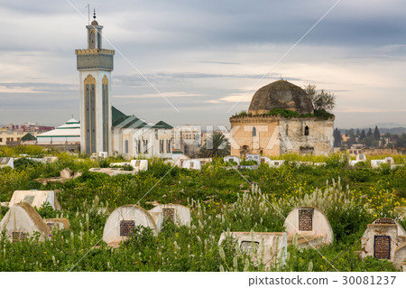 Cemetery on the edge of Meknes Medina, Morocco 30081237