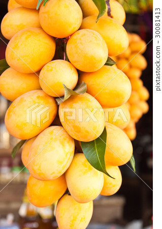 Maprang 30081413